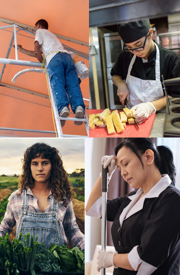 Four workers: a painter, a kitchenhand, a horticulture worker and a cleaner