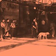 Police with sniffer dog at train starion
