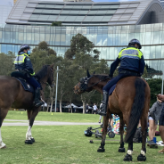 Police on horse