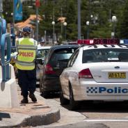 Police officer fines to police car in traffic